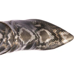 Aldo Sophialaan Klassische Stiefel - Mehrfarbig -Aldo Verkaufsgeschäft 26027456 06