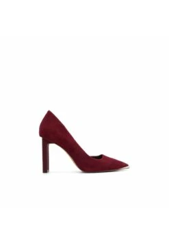Aldo KOILLA - High Heel Pumps - Bordo -Aldo Verkaufsgeschäft 2f5076e7556d4571b4fb6fe5f95781c9