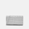 Aldo FAHARI - Clutch - Silver